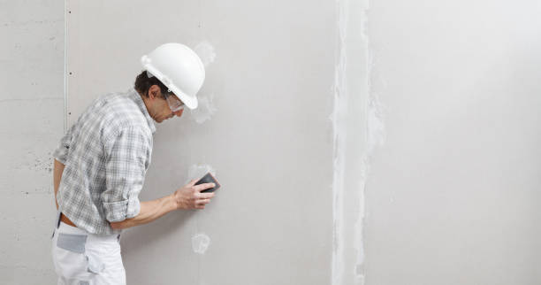 Best Wallpaper Removal and Painting  in Jones Creek, TX